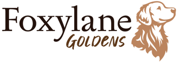 foxylanegoldens.com