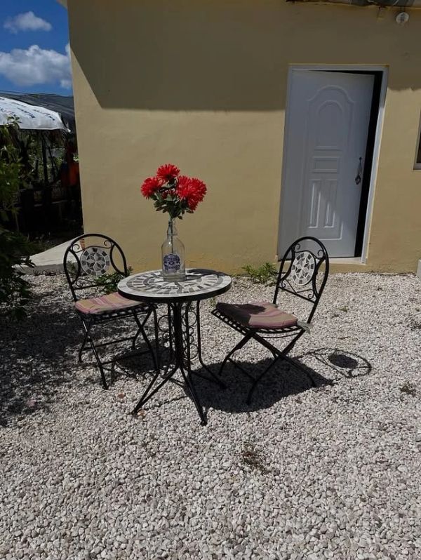 Outdoor metal table and chairs with red flowers in a bottle vase.