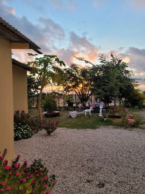 A serene garden at sunset with flowers, trees, and decorative statues.