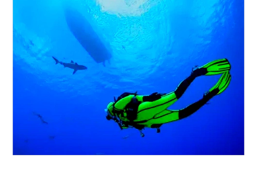 Underwater scuba diver swimming under a boat with a shark nearby.