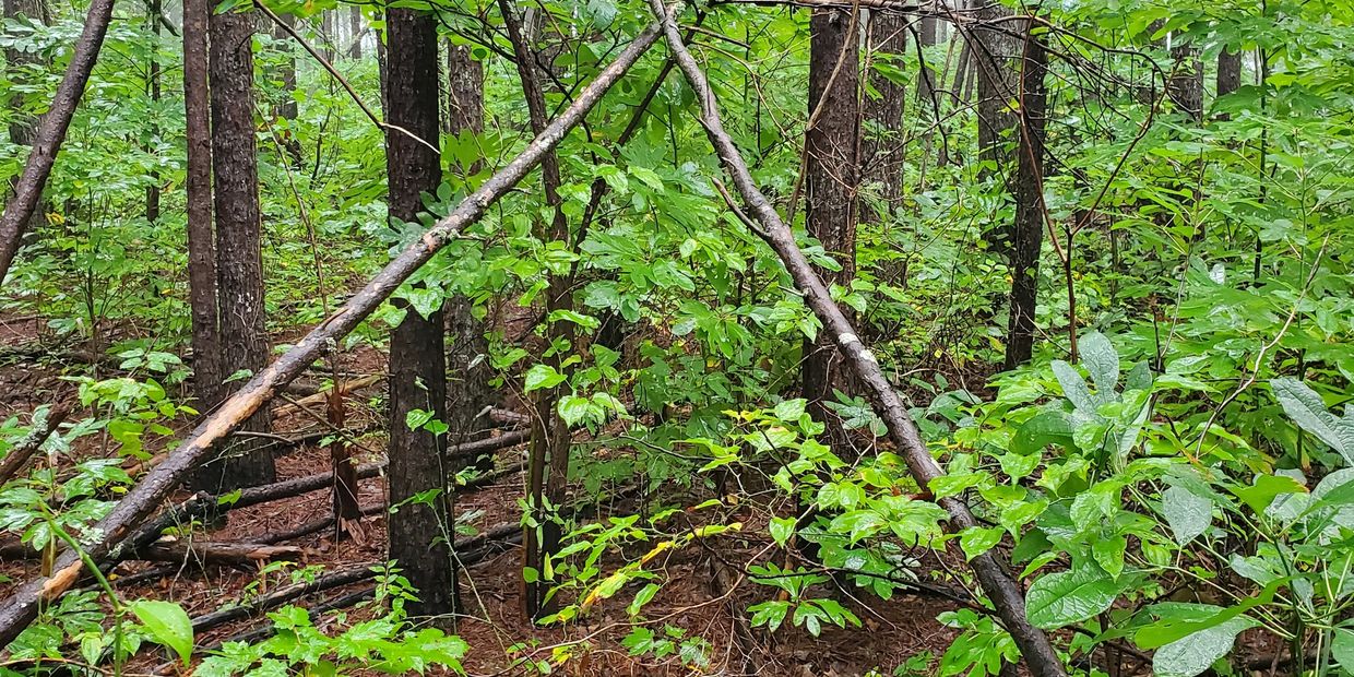 Bigfoot Sasquatch stick formation in woods