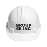 GROUP 65 INC