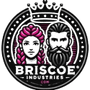 JV Briscoe Inc