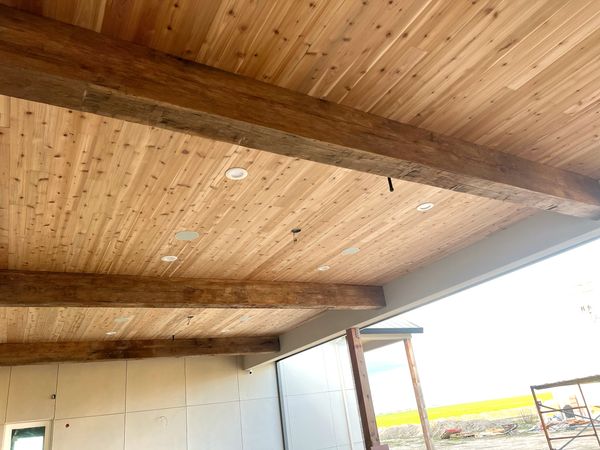 Patio Ceiling