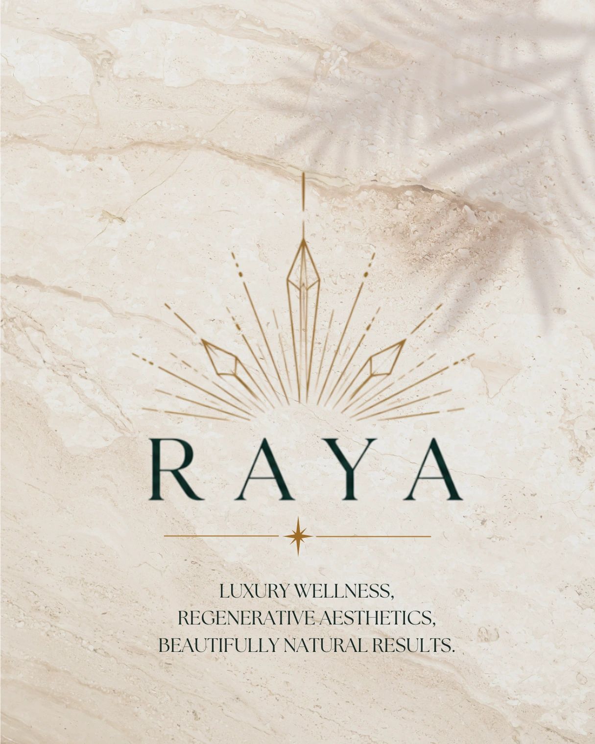 Raya Wellness Care & Medical Spa cover