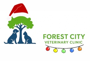 Forest City Veterinary Clinic