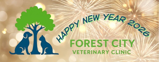 Forest City Veterinary Clinic