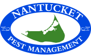 Nantucket Pest Management