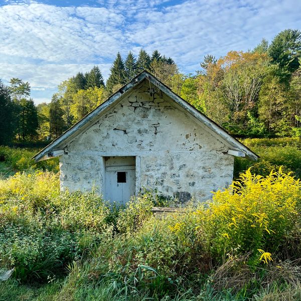 Old white stone building surrounded by lush greenery and yellow flowers under a blue sky.