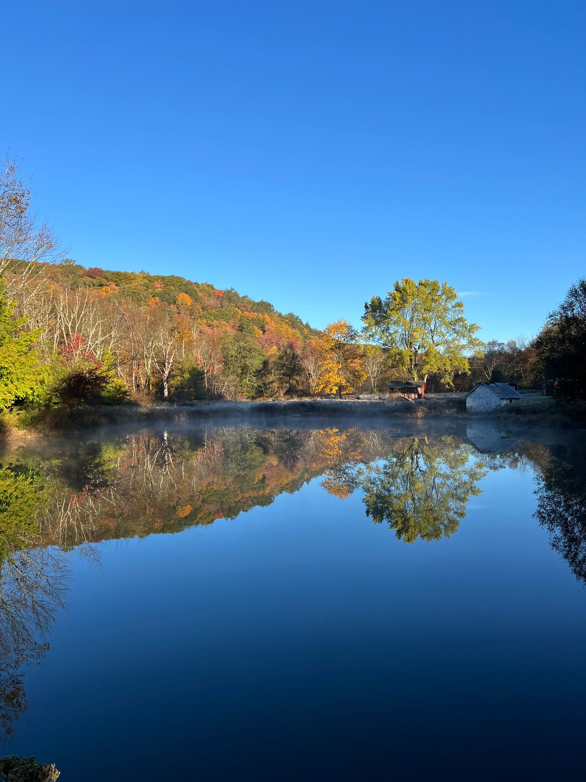native-wetland-keystone