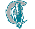 achs
