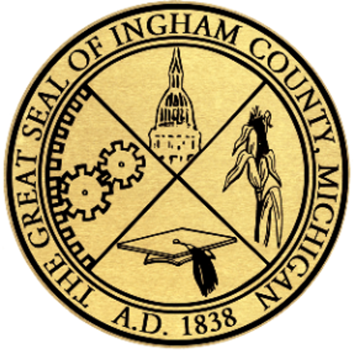 Navigate Ingham County's legal system. Know which court handles your case