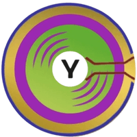 The York Aura Post