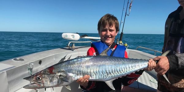 Maybe a Spanish Mackerel for dinner