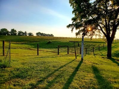 Morning on the north pasture at Fresh Air Farm.