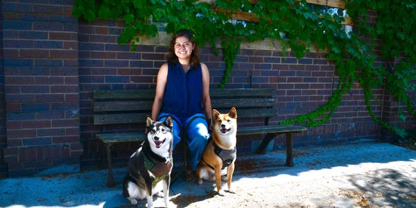 Woman sitting on a bench with two dogs.