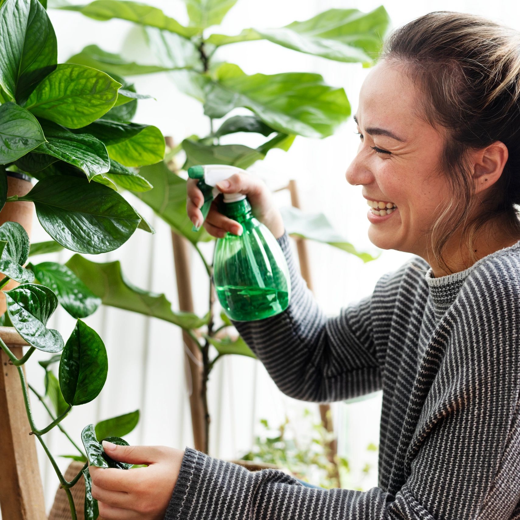 Transform Ashes into Trees Cremation Ash Memorial Kits Nurture a