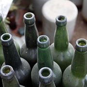 Wine bottles