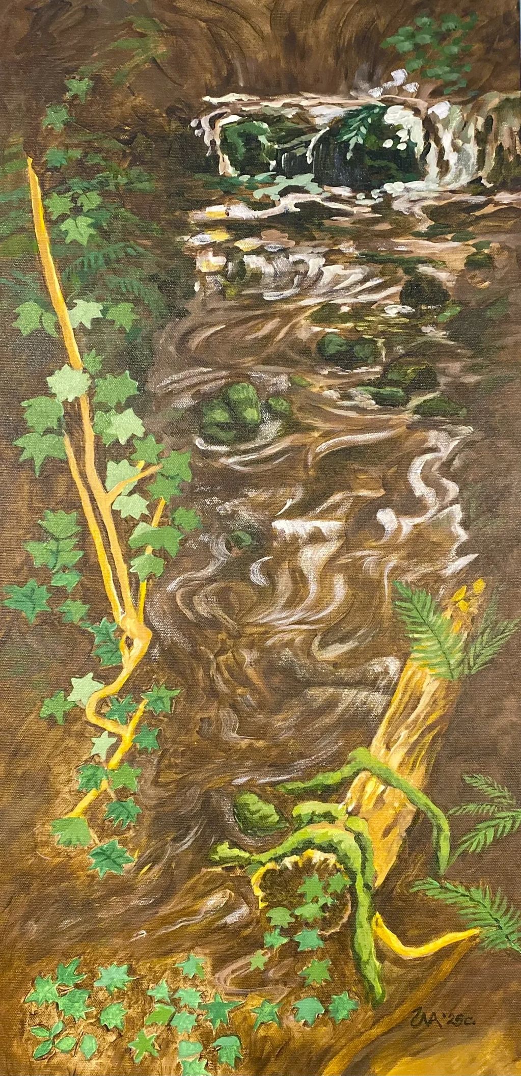 A rolling creek of water, vines, and rocks tumble from the forest floor and end at the mountain side