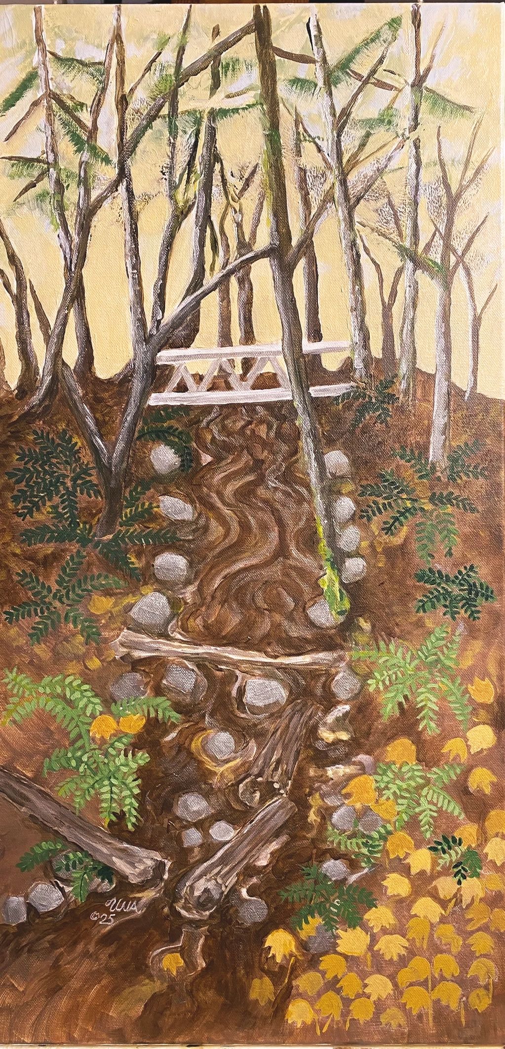 A quiet stream winds through a secluded woodland, where stones and weathered wood scatter the banks 