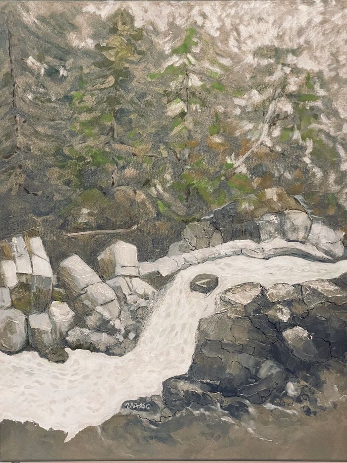 Here is the exploration of a lost rainforest, crowned by glacier boulders and torrent rain waters. 