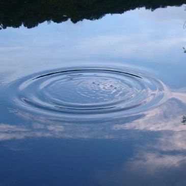 create a ripple effect to bring culture shift 