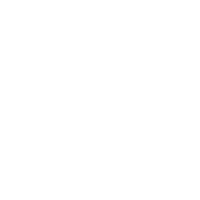 Stock Racing