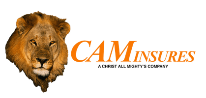 caminsures.com