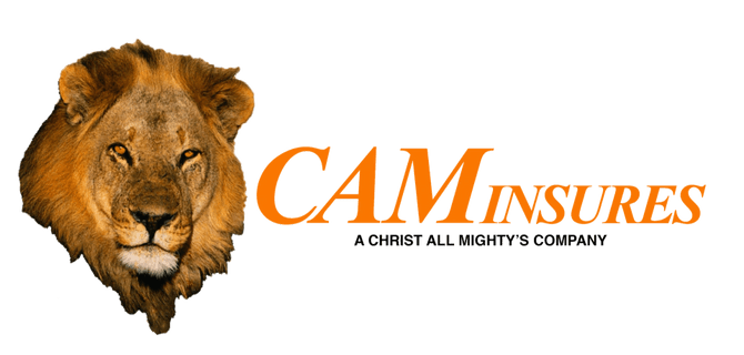 caminsures.com
