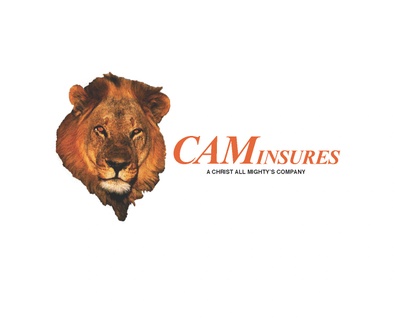 caminsures.com