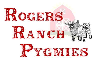 Rogers Ranch Pygmies