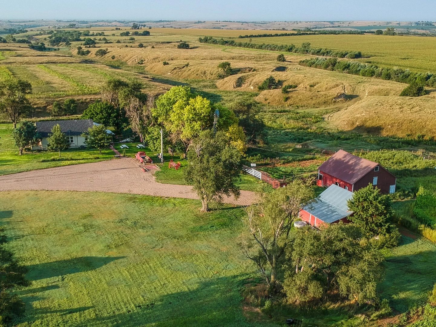 Deer | Great Nebraska Hunting