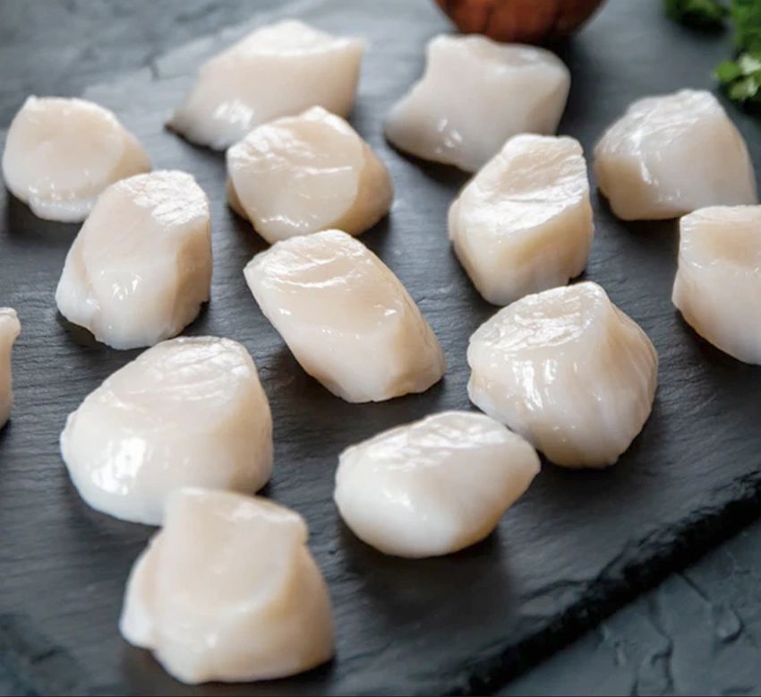 Sea Scallops, Frozen