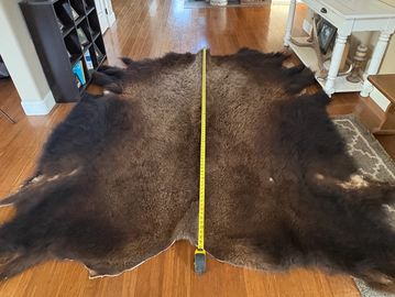 Bison Cow Hide - a little over 7ft long
Email or call 541-519-2702 to snag!