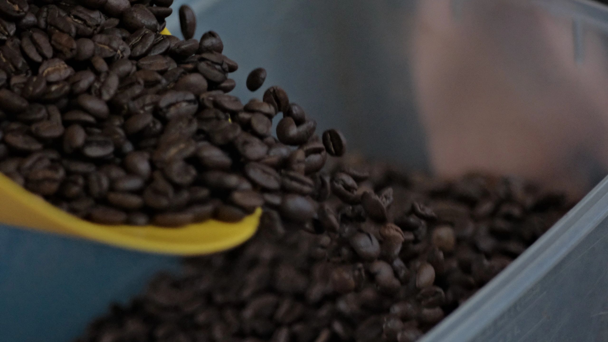 Carefully selected the coffee beans after roasting to give the best taste of the coffee itself 