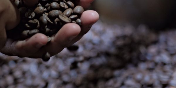 carefully selected roasted coffee beans