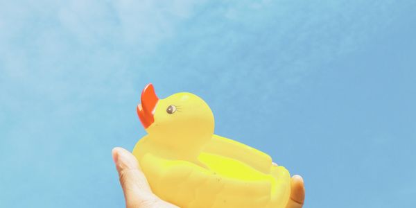 A yellow duck in the left hand, facing left. 