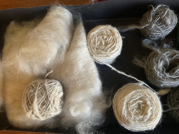 Various stages of wool from raw fiber to spun yarn