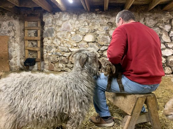 Kathy and Dave Ranzinger with their goats