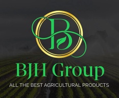 bjhgroups