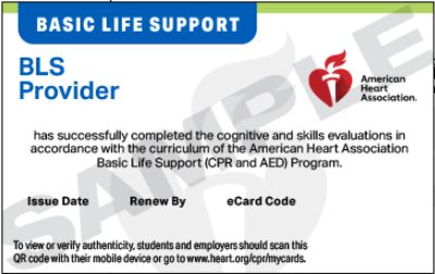 Certificate for Basic Life Support (BLS) completion by American Heart Association.