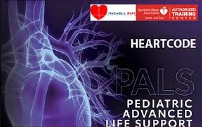 Pediatric Advanced Life Support HEARTCODE training image.