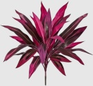 Somnera Artificial Dragon's Blood Tree Plants US PH