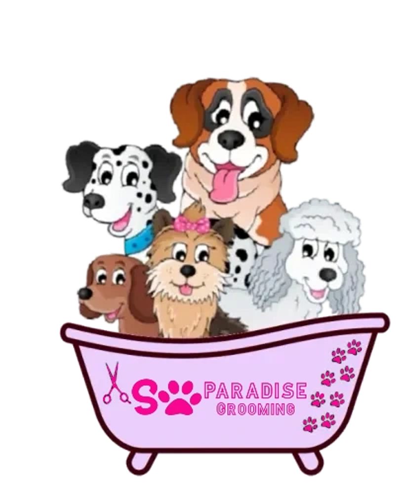 Paradise discount pet grooming