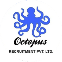 octopus recruitment Pvt. LTD