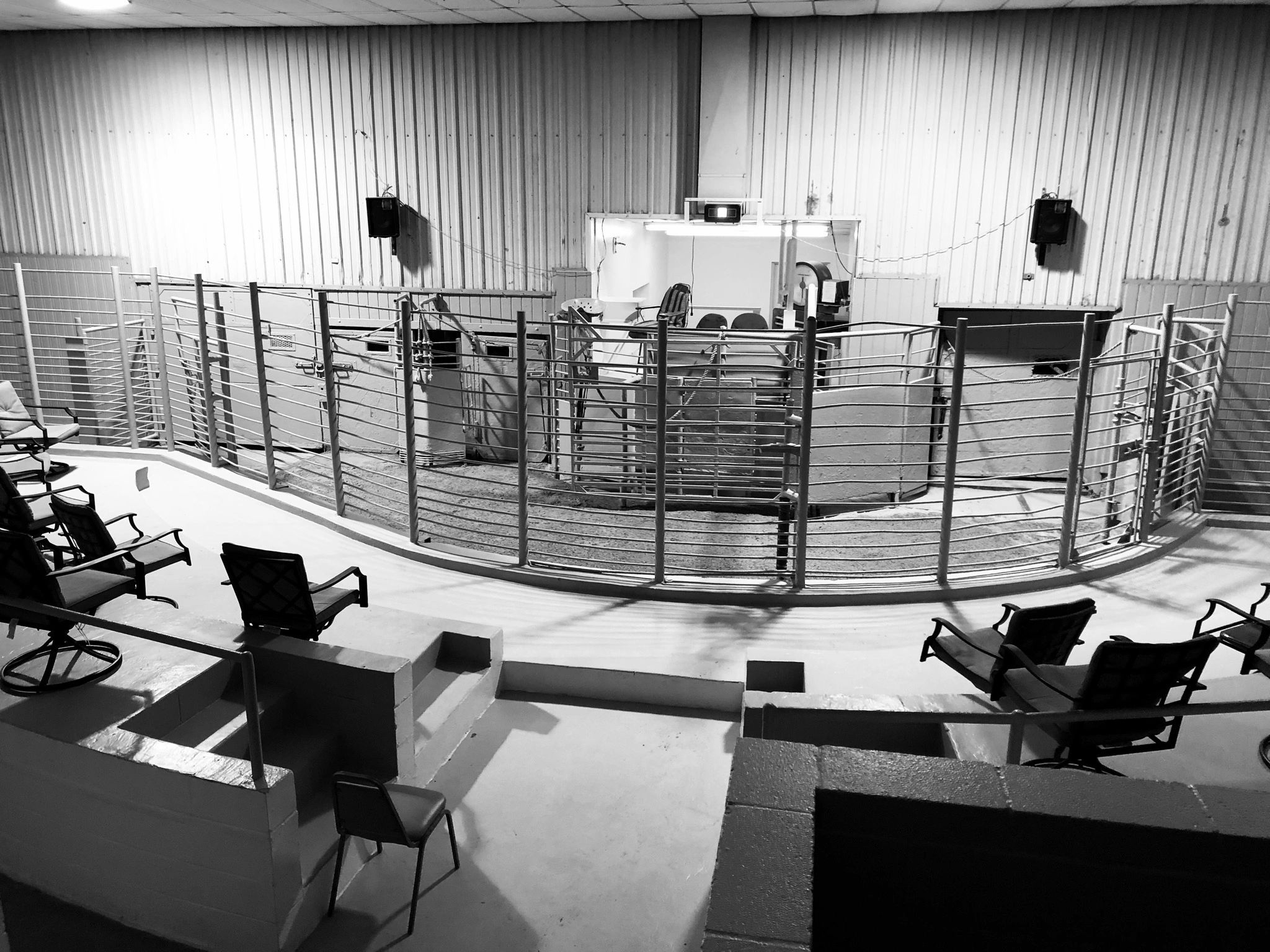 Edinburg Livestock Auction Livestock Auction, Cattle Auction, Sale