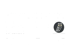 Surveillance Solution 
of Idaho

208-867-3645