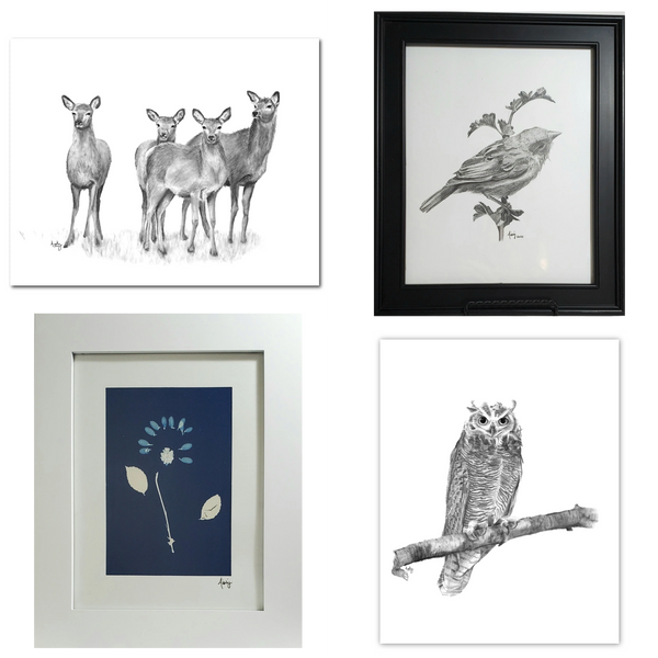 aisling pagnano animal drawings