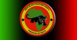 THE NEW BLACK PANTHER PARTY FOR SELF DEFENSE