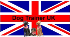 KENT DOG TRAINING
"DOG TRAINER UK"